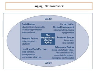Aging: Determinants
 