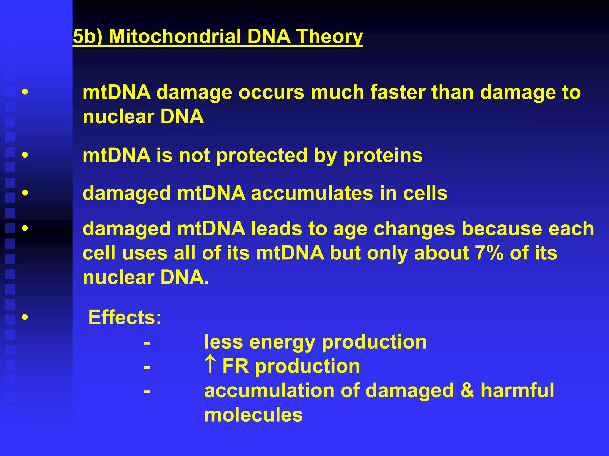 5b) Mitochondrial DNA Theory
• mtDNA damage occurs much faster than damage to
nuclear DNA
• mtDNA is not protected by proteins
• damaged mtDNA accumulates in cells
• damaged mtDNA leads to age changes because each
cell uses all of its mtDNA but only about 7% of its
nuclear DNA.
• Effects:
- less energy production
-  FR production
- accumulation of damaged & harmful
molecules
 