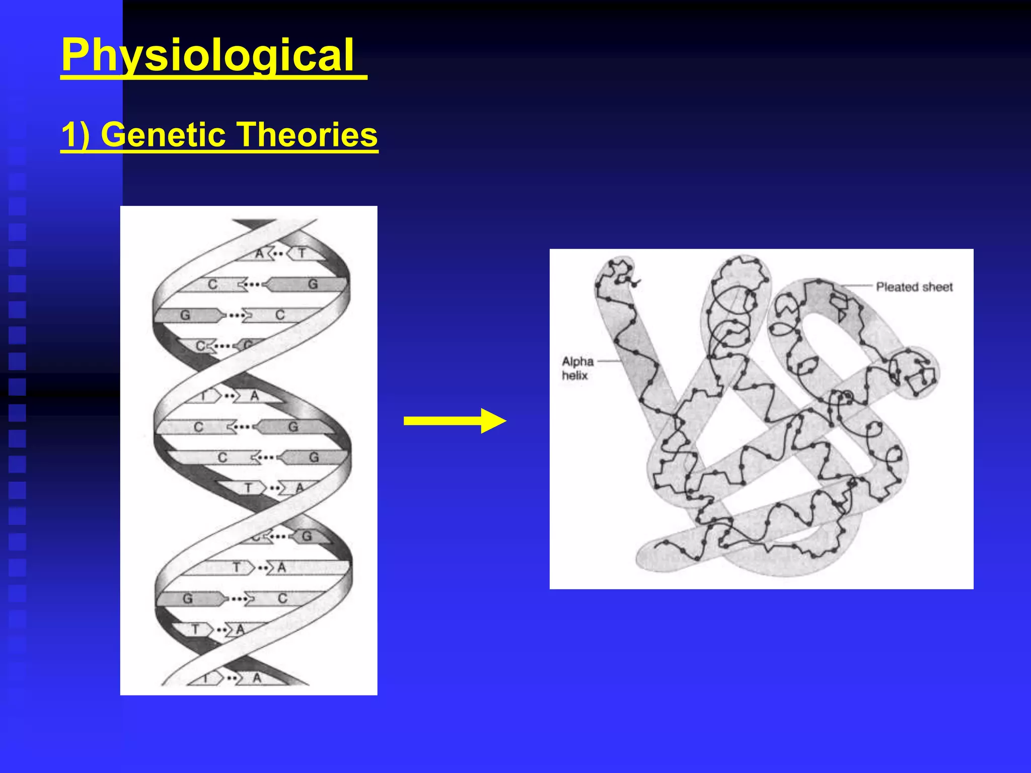 Physiological
1) Genetic Theories
 