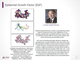 Aging and Epidermal Growth Factor (EGF) | PPTX