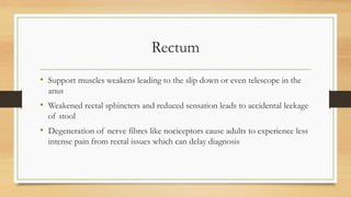 Comprehensive Overview of Aging Effects on the Human Digestive System | PDF