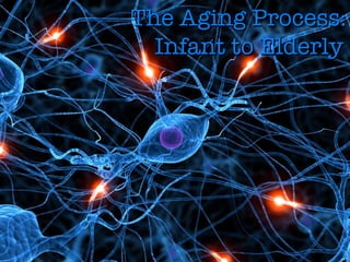 The Aging Process: Infant to Elderly 