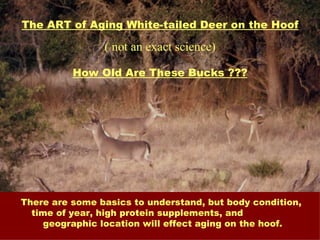 Aging On Hoof 3 PPT