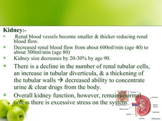 Kidney:-
 Renal blood vessels become smaller & thicker reducing renal
blood flow.
 Decreased renal blood flow from about 600ml/min (age 40) to
about 300ml/min (age 80)
 Kidney size decreases by 20-30% by age 90.
 There is a decline in the number of renal tubular cells,
an increase in tubular diverticula, & a thickening of
the tubular walls  decreased ability to concentrate
urine & clear drugs from the body.
 Overall kidney function, however, remains normal
unless there is excessive stress on the system.
 