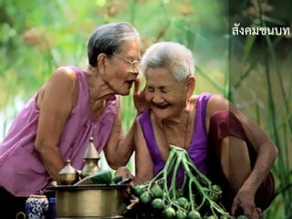 สังคมชนบท
 