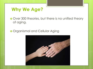 Why We Age?
 Over 300 theories, but there is no unified theory
of aging.
 Organismal and Cellular Aging
 