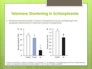 Telomere Shortening in Schizophrenia
 Shortened telomere length in chronic schizophrenia may be contributing to the
progressive deterioration in treatment-resistant schizophrenia.
H-T Kao, R M Cawthon, L E DeLisi, H C Bertisch, F Ji, D Gordon, P Li, M M Benedict, W M Greenberg and B Porton; Rapid telomere
erosion in schizophrenia; Molecular Psychiatry (2008) 13, 118–119; doi:10.1038/sj.mp.4002105
 