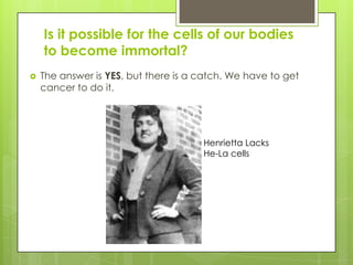 Is it possible for the cells of our bodies
to become immortal?
 The answer is YES, but there is a catch. We have to get
cancer to do it.
Henrietta Lacks
He-La cells
 