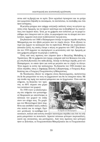 ÛÂÙ·È ·ﬁ ÙË ‚ÚÔ¯‹ Î·È ÙÔ ÎÚ‡Ô. ™ÙÔÓ ·ÚÁ·ÏÂÈﬁ ¤ÊÙÈ·¯Ó·Ó Î·È Ù· ÚÔ‡¯·
Ô˘ ÊÔÚÔ‡Û·Ó ‰ËÏ·‰‹ Ù· Ô˘Î¿ÌÈÛ·, Ù· ·ÓÙÂÏﬁÓÈ·, Ù· Ô˘Ïﬁ‚ÂÚ Î·È ¤ÙÛÈ
‹Ù·Ó ·˘Ù¿ÚÎÂÈ˜.
∏ ÌÂÁ¿ÏË ÊÙÒ¯ÂÈ· Ô˘ ˘‹Ú¯Â ·Ó¿ÁÎ·˙Â ÔÏÏÔ‡˜ Ó¤Ô˘˜ Ó· Ê‡ÁÔ˘Ó ÂÚ-
Á¿ÙÂ˜ ÛÙËÓ ∞ÌÂÚÈÎ‹, ÁÈ· Ó· ˙‹ÛÔ˘Ó Î·Ï‡ÙÂÚ· Î·È Ó· ‚ÔËı‹ÛÔ˘Ó ÙÈ˜ ÔÈÎÔÁ¤-
ÓÂÈÂ˜ Ô˘ ¿ÊËÓ·Ó ›Ûˆ. ŒÙÛÈ, ÌÂ Ù· ¯Ú‹Ì·Ù· Ô˘ ¤ÛÙÂÏÓ·Ó, ÌÂ ÙÔ ÌÈÎÚﬁ ÂÈ-
Ûﬁ‰ËÌ· Ô˘ ¤·ÈÚÓ·Ó ·ﬁ ÙÔ Á¿Ï·, ÙÔ ÌÂÚÔÎ¿Ì·ÙÔ Î·È Ù· ÎÏ·ÚÈ¿ Ô˘ Ô˘-
ÏÔ‡Û·Ó, ¿Ú¯ÈÛ·Ó ÛÈÁ¿-ÛÈÁ¿ Ó· ‚ÂÏÙÈÒÓÔ˘Ó ÙË ˙ˆ‹ ÙÔ˘˜.
™ÙË ‰ÂÎ·ÂÙ›· ÙÔ˘ 1880 Ô ¶··Ì¿ÚÎÔ˘ ¿ÓÔÈÍÂ ÙÔ ÚÒÙÔ ËÁ¿‰È ÛÙË ı¤ÛË
ª·ÚÌ¤ÚË Î·È ÙÔ˘ ¤‚·ÏÂ Ì·ÁÎ¿ÓÈ Ô˘ ÙÔ Á‡ÚÈ˙Â ¿ÏÔÁÔ. ŒÙÛÈ ¤‚Á·ÈÓÂ ÙÔ
ÓÂÚﬁ Î·È ¿Ú¯ÈÛÂ Ó· Î·ÏÏÈÂÚÁÂ› ﬁÏ· Ù· ÎËÂ˘ÙÈÎ¿. º‡ÙÂ„Â Î·È ÔÚÙÔÎ·ÏÈ¤˜
(ÔÈÎÈÏ›· ÍÈÓ¿), ÙÈ˜ ÔÔ›Â˜ ¤Î·„Â Ô ¿ÁÔ˜ ÙÔ ¯ÂÈÌÒÓ· ÙÔ˘ 1907. ™ÙË ‰ÂÎ·Â-
Ù›· ÙÔ˘ 1910 ¿Ú¯ÈÛ·Ó Ó· ÂÈÛÙÚ¤ÊÔ˘Ó ÔÈ ÌÂÙ·Ó¿ÛÙÂ˜ ·ﬁ ÙËÓ ∞ÌÂÚÈÎ‹, ÌÂ
ﬁÛ· ¯Ú‹Ì·Ù· ÌﬁÚÂÛÂ Ó· Ì·˙¤„ÂÈ Ô Î·ı¤Ó·˜.
ŒÓ·˜ ·ﬁ ÙÔ˘˜ ÚÒÙÔ˘˜ Ô˘ Á‡ÚÈÛ·Ó ‹Ù·Ó Ô µ·ÁÁ¤ÏË˜ ª·ÏÂ‚›ÙË˜ ‹
∆Ú·¤ÛÎÔ˜. ªÂ Ù· ¯Ú‹Ì·Ù· Ô˘ ¤ÊÂÚÂ, ·ÁﬁÚ·ÛÂ ·ﬁ ÙÔÓ ∫ﬁÎÎÈÓÔ ¤Ó· ÎÙ‹-
Ì· ÛÙË ı¤ÛË ∫ÔÙÛ¿ÎÈ ÛÙÔ Â‰›Ô ‚ÔÏ‹˜. ÕÓÔÈÍÂ ÙÔ ‰Â‡ÙÂÚÔ ËÁ¿‰È, ÌÂÙ¿ ÙÔÓ
¶··Ì¿ÚÎÔ˘, ÙÔ ÔÔ›Ô ‹Ù·Ó Î·È ·˘Ùﬁ ÌÂ Ì·ÁÎ¿ÓÈ Î·È ÙÔ Á‡ÚÈ˙Â ÙÔ ¿ÏÔÁÔ.
ŒÙÛÈ ¿Ú¯ÈÛÂ ÎÈ ·˘Ùﬁ˜ ÙËÓ Î·ÏÏÈ¤ÚÁÂÈ·. ∆Ë ‰ÂÎ·ÂÙ›· ÙÔ˘ 1920 ¿ÓÔÈÍ·Ó Î·È
¿ÏÏÔÈ ËÁ¿‰È·, ﬁˆ˜ Ô ¢ËÌ‹ÙÚË˜ •˘ÏÈÓ¿˜ ‹ ∫·ÌÔ‡ÚË˜, Ô °ÂÒÚÁÈÔ˜ ∫ÔÚ-
‰Ô¿ÙË˜ Î·È Ô °ÂÒÚÁÈÔ˜ °ÂˆÚÁﬁÔ˘ÏÔ˜ ‹ ªÂÚÙÛ¤Î·˜.
OÈ ¡·˘ÏÈÒÙÂ˜ ¤‰ÈÓ·Ó Ù· ÎÙ‹Ì·Ù· ÛÙÔ˘˜ ∫·ÙÛÈÁÎÚÈÒÙÂ˜, ÈÛÙÂ‡ÔÓÙ·˜
ﬁÙÈ ‰Â ı· ÌÔÚÔ‡Û·Ó Ó· ÙÔ˘˜ Ù· ÍÂ¯ÚÂÒÛÔ˘Ó Î·È ı· Ù· ¤·ÈÚÓ·Ó ›Ûˆ. ªÂ
ÙËÓ ¿ÓÔ‰Ô ÙË˜ ÙÈÌ‹˜ ÙÔ˘ Î·ÓÔ‡ ÌﬁÚÂÛ·Ó Î·È Ù· ÍÂ¯Ú¤ˆÛ·Ó. ŒÙÛÈ ·ﬁ Ù·
ÎÙ‹Ì·Ù·, ÙË ‰ÂÎ·ÂÙ›· ÙÔ˘ ÙÚÈ¿-
ÓÙ·, ÙÔ 80% ¤Ú·ÛÂ ÛÙ· ¯¤ÚÈ·
ÙˆÓ Î·ÙÔ›ÎˆÓ ÙÔ˘ ¯ˆÚÈÔ‡.
∆Ô 1930 ¤ÁÈÓÂ Ë ··ÏÏÔÙÚ›ˆ-
ÛË ÛÙ· ÎÙ‹Ì·Ù· ÙÔ˘ ÌÔÓ·ÛÙËÚÈ-
Ô‡ ∫·Ú·Î·Ï¿ ÌÂ ·ÔÙ¤ÏÂÛÌ· ÔÈ
Î¿ÙÔÈÎÔÈ ÙÔ˘ ¯ˆÚÈÔ‡ Ó· ·˘Í‹-
ÛÔ˘Ó ÙÔÓ ÎÏ‹ÚÔ ÙÔ˘˜. ∆· ¯ˆÚ¿-
ÊÈ· ÙÔ˘ ªÔÓ·ÛÙËÚÈÔ‡ ‹Ù·Ó ·Ú-
ı¤Ó· Î·È ·¤‰È‰·Ó Î·Ï¤˜ ÛÔ‰ÂÈ¤˜
ÛÙ· Î·Ó¿ Î·È Ù· ÛÈÙËÚ¿. ∂Êﬁ-
ÛÔÓ ÌÂÁ¿ÏˆÛÂ ÙÔ ÂÈÛﬁ‰ËÌ· ÙˆÓ
Î·ÙÔ›ÎˆÓ, ÔÏÏÔ› ·ﬁ ·˘ÙÔ‡˜ ¿ÓÔÈÍ·Ó Î·ÈÓÔ‡ÚÁÈ· ËÁ¿‰È· Î·È ¤ÙÛÈ Ù· ÎÙ‹-
Ì·Ù· ÌÔÚÔ‡Û·Ó Ó· ÔÙÈÛÙÔ‡Ó. ∞ÚÎÂÙÔ› Î¿ÙÔÈÎÔÈ Ê‡ÙÂ„·Ó ÔÚÙÔÎ·ÏÏÈ¤˜,
ÎÔÈÓ¿ Î·È Û·ÁÎÔ˘›ÓÈ·, Î·È Ì·ÓÙ·ÚÈÓÈ¤˜. ∞ﬁ ÙÔ˘˜ ÚÒÙÔ˘˜ Ô˘ Ê‡ÙÂ„·Ó
‹Ù·Ó ÔÈ •˘ÏÈÓ·›ÔÈ, ÔÈ °ÂˆÚÁÔÔ˘Ï·›ÔÈ-ªÂÚÙ˙ÂÎ·›ÔÈ Î·È ÔÈ °ÂˆÚÁÔÔ˘Ï·›-
ÔÈÎÔÓÔÌÈÎ‹ Î·È ÎÔÈÓˆÓÈÎ‹ ÔÚÁ¿ÓˆÛË
55
∆Ô ËÁ¿‰È ÙÔ˘ ¶··Ì¿ÚÎÔ˘.
 