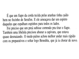 Agirafa e o mede palmo