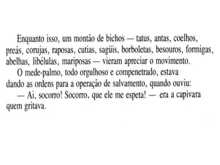 Agirafa e o mede palmo