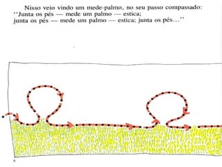 Agirafa e o mede palmo