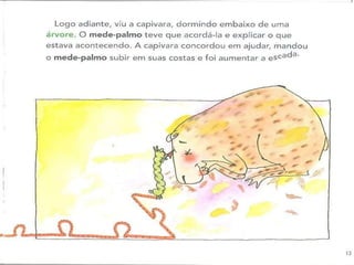 A girafa e o mede palmos