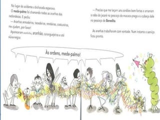 A girafa e o mede palmos