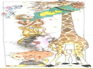 A girafa e o mede palmos