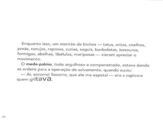 A girafa e o mede palmos