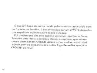 A girafa e o mede palmos