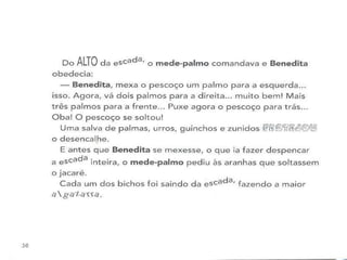 A girafa e o mede palmos