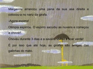 Margarida arrancou uma pena da sua asa direita e
colocou-a no nariz da girafa.

-Agora espirra!

Olimpia espirrou. O espirro sacudiu as nuvens e começou
a chover!

Choveu durante 3 dias e a savana voltou a ficar verde!

É por isso que até hoje, as girafas são amigas das
galinhas do mato.
 