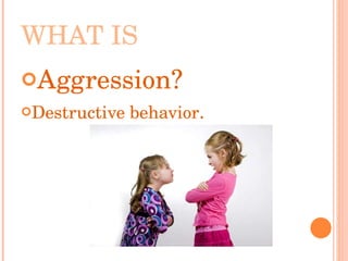 WHAT IS Aggression? Destructive behavior . 