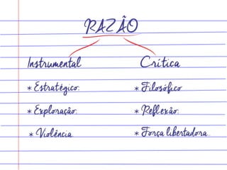 Agir racional - Razão e Sociedade