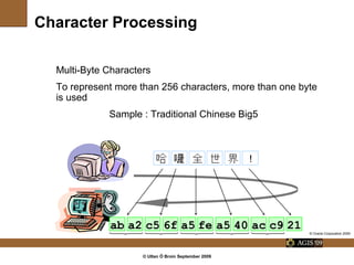 Internationalization and Translatability for Beginners | PPT