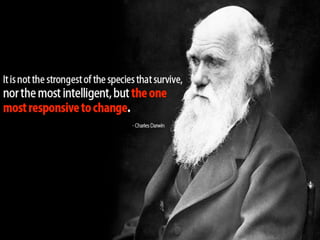 FRMPHPA - Moissac - 13/10/2014 
 