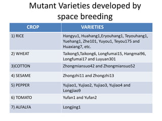 Mutant Varieties developed by
space breeding
CROP VARIETIES
1) RICE Hangyu1, Huahang1,Eryouhang1, Teyouhang1,
Yuehang1, Zhe101, Yuyou1, Teyou175 and
Huaxiang7, etc.
2) WHEAT Taikong5,Taikong6, Longfumai15, Hangmai96,
Longfumai17 and Luyuan301
3)COTTON Zhongmiansuo42 and Zhongmiansuo52
4) SESAME Zhongzhi11 and Zhongzhi13
5) PEPPER Yujiao1, Yujiao2, Yujiao3, Yujiao4 and
Longjiao9
6) TOMATO Yufan1 and Yufan2
7) ALFALFA Longjing1
 