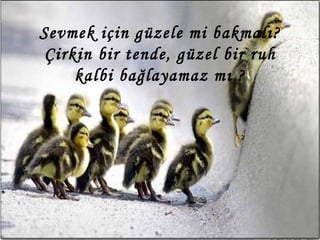 Sevmek için güzele mi bakmalı? Çirkin bir tende, güzel bir ruh kalbi bağlayamaz mı ? 