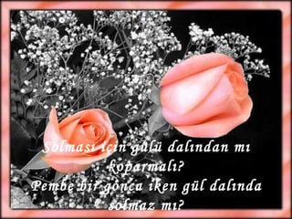 Solması için gülü dalından mı koparmalı? Pembe bir gonca iken gül dalında solmaz mı? 