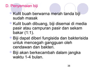 D. Penyemaian biji
 Kulit

buah berwarna merah tanda biji
sudah masak
 Kulit buah dibuang, biji disemai di media
pasir atau campuran pasir dan sekam
bakar (1:1).
 Biji dapat diberi fungisida dan bakterisida
untuk mencegah gangguan oleh
cendawan dan bakteri.
 Biji akan berkecambah dalam jangka
waktu 1-4 bulan.
38

 