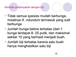 Kendala perbanyakan dengan biji

 Tidak

semua spesies mudah berbunga,
misalnya A. rotundum termasuk yang sulit
berbunga
 Jumlah bunga betina terbatas (dari 1
bunga terdapat 8- 25 putik, dan maksimal
sekitar 10 yang berhasil menjadi buah.
 Jumlah biji terbatas karena satu buah
hanya menghasilkan satu biji
40

 