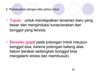 2. Perbanyakan dengan stek pohon induk

 Tujuan

: untuk mendapatkan tanaman baru yang
besar dan menginduksi tunas/anakan dari
bonggol yang tersisa.

 Beresiko

gagal pada potongan induk maupun
bonggol sisa, karena potongan batang atas
belum berakar sedangkan bonggol bisa
mengalami stress dan membusuk).

42

 