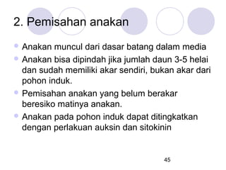 2. Pemisahan anakan
 Anakan

muncul dari dasar batang dalam media
 Anakan bisa dipindah jika jumlah daun 3-5 helai
dan sudah memiliki akar sendiri, bukan akar dari
pohon induk.
 Pemisahan anakan yang belum berakar
beresiko matinya anakan.
 Anakan pada pohon induk dapat ditingkatkan
dengan perlakuan auksin dan sitokinin

45

 