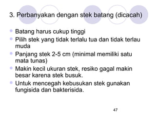 3. Perbanyakan dengan stek batang (dicacah)
 Batang

harus cukup tinggi
 Pilih stek yang tidak terlalu tua dan tidak terlau
muda
 Panjang stek 2-5 cm (minimal memiliki satu
mata tunas)
 Makin kecil ukuran stek, resiko gagal makin
besar karena stek busuk.
 Untuk mencegah kebusukan stek gunakan
fungisida dan bakterisida.
47

 