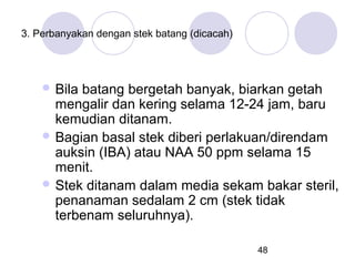 3. Perbanyakan dengan stek batang (dicacah)

 Bila

batang bergetah banyak, biarkan getah
mengalir dan kering selama 12-24 jam, baru
kemudian ditanam.
 Bagian basal stek diberi perlakuan/direndam
auksin (IBA) atau NAA 50 ppm selama 15
menit.
 Stek ditanam dalam media sekam bakar steril,
penanaman sedalam 2 cm (stek tidak
terbenam seluruhnya).
48

 