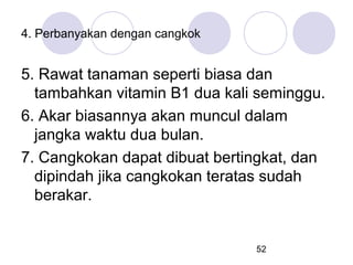 4. Perbanyakan dengan cangkok

5. Rawat tanaman seperti biasa dan
tambahkan vitamin B1 dua kali seminggu.
6. Akar biasannya akan muncul dalam
jangka waktu dua bulan.
7. Cangkokan dapat dibuat bertingkat, dan
dipindah jika cangkokan teratas sudah
berakar.

52

 