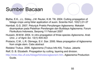 Sumber Bacaan
Blythe, E.K., J.L. Sibley, J.M. Reuter, K.M. Tilt. 2004. Cutting propagation of
foliage crops using foliar application of auxin. Scientia Hort. 103(1):31-37
Hambali, G.G. 2007. Petunjuk Praktis Penyilangan Aglaonema. Makalah
disampaikan pada Pelatihan Persilangan dan Budidaya Aglaonema. Forum
Florikultura Indonesia, Serpong 11 Februari 2007
Hussein, M.M.M. 2004. In vitro propagation of three species Aglaonema. Arab
Univ. J. of Agric Sci. 12(1):405-423
Protacio, C.M., L.R. Obmega, S.V. Siar. 2000. Mass propagation of Aglaonema
from single stem. Cabs abstract
Redaksi Trubus. 2006. Aglaonema (Trubus Info Kit). Trubus. Jakarta
Relf, D. B. Elizabeth. Propagation by cutting, layering and division.
http://mrec.ifas.ufl.edu/foliage/folnotes/aglaonem.htm. Aglaonema Production
Guide.

55

 