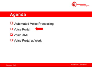 Agenda
 Automated Voice Processing
 Voice Portal
 Voice XML
 Voice Portal at Work

January, 2002

Momentum Confidential
10

 