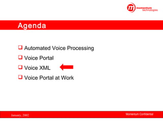 Agenda
 Automated Voice Processing
 Voice Portal
 Voice XML
 Voice Portal at Work

January, 2002

Momentum Confidential
18

 