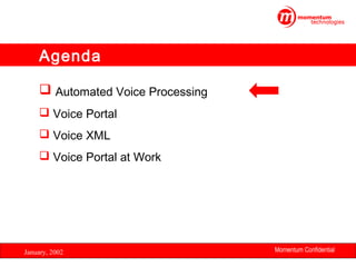 Agenda
 Automated Voice Processing
 Voice Portal
 Voice XML
 Voice Portal at Work

January, 2002

Momentum Confidential
2

 