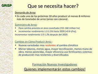 A global rice science partnership GRiSP