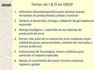 A global rice science partnership GRiSP
