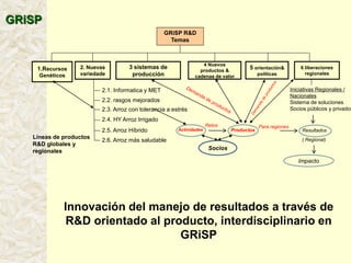 A global rice science partnership GRiSP