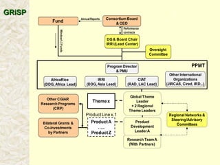 A global rice science partnership GRiSP