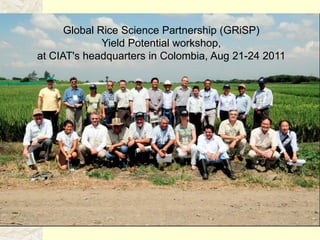 A global rice science partnership GRiSP