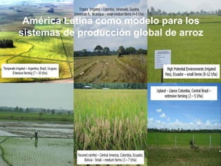 A global rice science partnership GRiSP