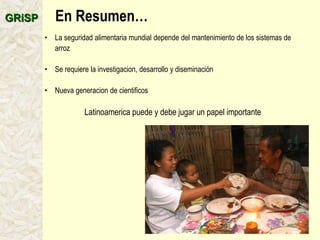 A global rice science partnership GRiSP