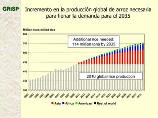 A global rice science partnership GRiSP