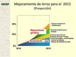 A global rice science partnership GRiSP